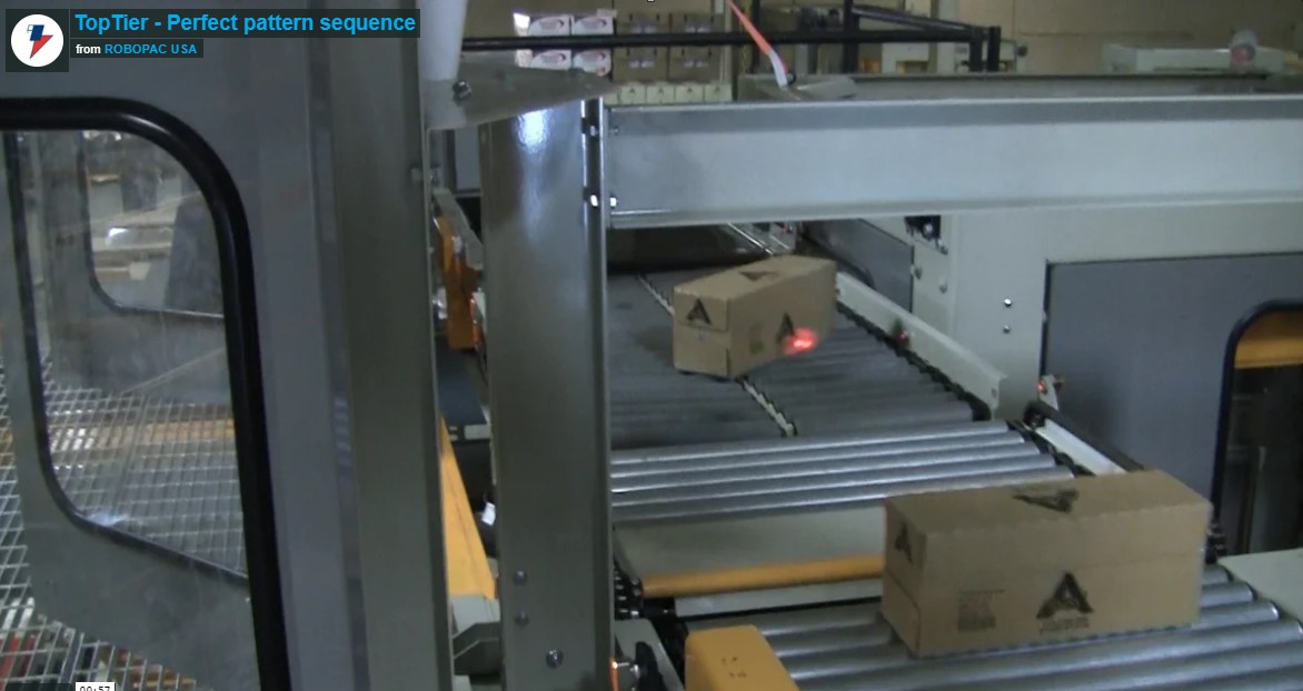 Low Infeed Palletizer 6