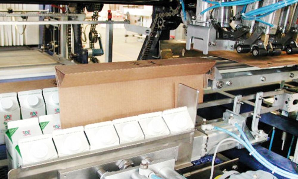 Essential Equipment for Your End-of-Line Packaging System