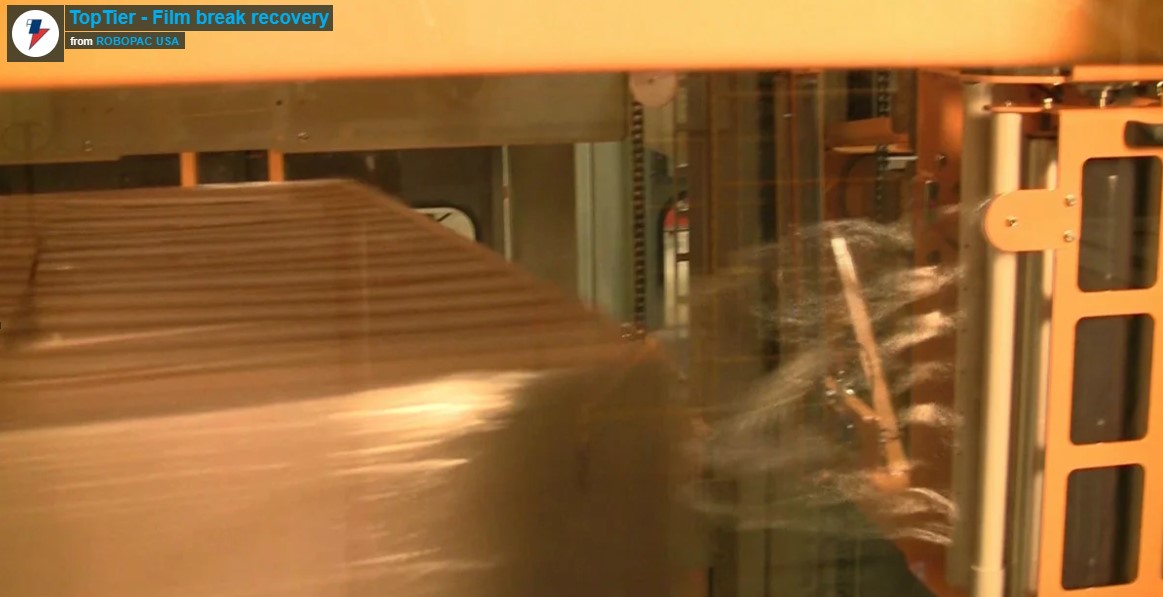 Low Infeed Palletizer 4